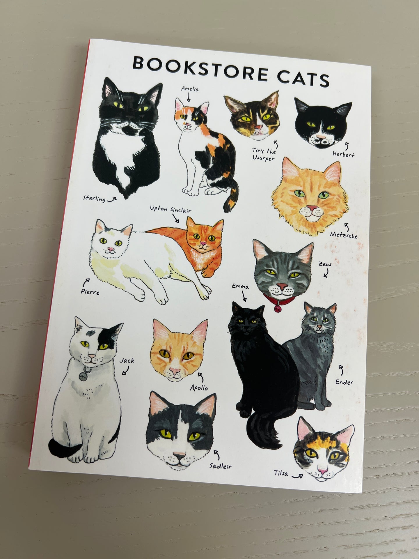 Bookstore Cats Journal