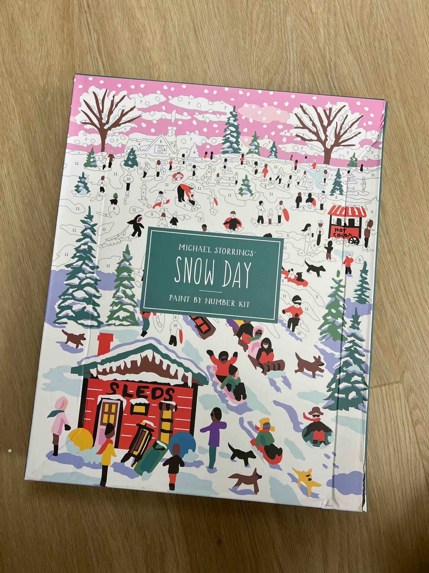 Snow Day - Paint by Numbers Kit